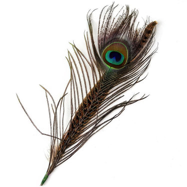 Plume De Paon Chapeau